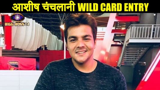 Ashish Chanchalani to Enter Bigg Boss 14 House! यूट्यूबर आशीष चंचलानी करेंगे बिग बॉस 14 के घर में एंट्री? देखें ट्वीट आशीष चंचलानी और सलमान खान !