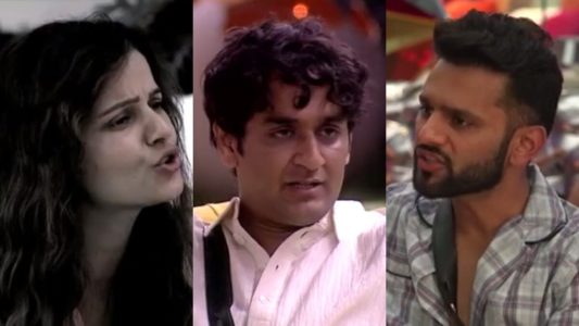 Bigg Boss 14 Today Episode 22th Dec Written Update in Hindi: निक्की क्या अली को करती है प्यार ?