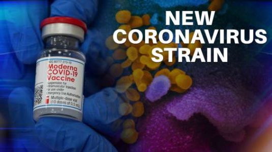 India Coronavirus News Update, Covid-19 News Update, COVID-19 News Update, COVID-19 recovery rate, coronavirus recovery in india india new strain case, corona new strain breaking news