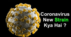 What is the New Coronavirus (Covid-19) Strain in Hindi All Your Questions & Answered | कोरोना वायरस न्यू स्ट्रेन क्या है ? | Coronavirus New Strain Kya Hai SARS-CoV-2, N501Y, H69/V70