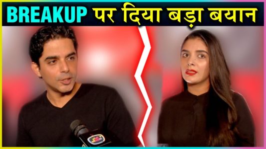 Pooja Gor Raj Singh Breakup Reasons in Hindi: Why did the 10-year-old relationship break down? | 10 साल बाद टूटा पूजा गौर और राज सिंह, एक्ट्रेस ने लिखा इमोशनल पोस्ट