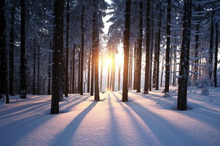 Winter Solstice 2020 (दिसंबर दक्षिणायन) Kya Hai? | What is Winter Solstice? in Hindi | साल का सबसे छोटे दिन कौन सा है? | Winter Solstice Quotes Status Caption 2020