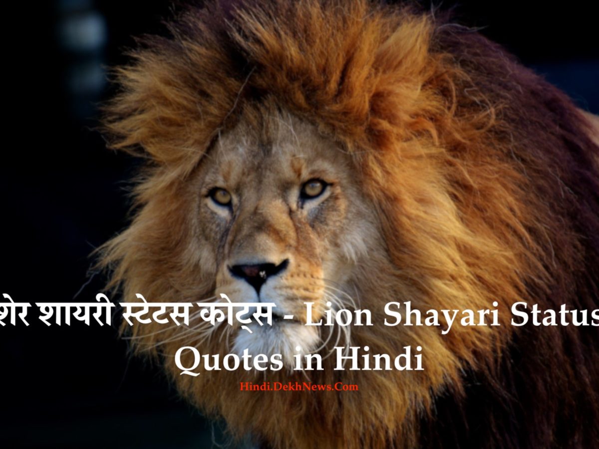 शेर शायरी स्टेटस कोट्स 2021 – Lion Shayari Status Quotes in Hindi | Dekh  News Hindi