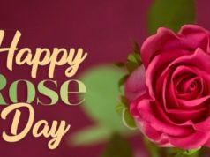 Interesting Facts About Rose Day (7th February), (Valentine’s Day Week) in Hindi | जानिए वैलेंटाइन वीक के इस पहले दिन से जुड़ी खास बातें हिंदी में जाने, Rose Day Facts