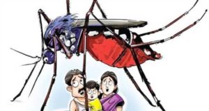 Delhi latest news in Hindi - Dengue and Malaria can increase the tension of Delhiites, so many cases have come to the fore! | Dengue और Malaria बढ़ा सकते है दिल्ली वालो की टेंशन, इतने मामले आये सामने !