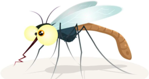 Dengue and Malaria Mosquito Quotes Shayari Status Slogans Images in Hindi | डेंगू और मलेरिया मच्छर शायरी, डेंगू और मलेरिया मच्छर कोट्स, डेंगू और मलेरिया मच्छर कोट्स