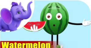 Best Collection for Watermelon Poem in Hindi, Poem on Watermelon in Hindi, Tarbuj Par Kavita, Tarbuj Par Poem in Hindi, तरबूज पर कविता, तरबूज पर पोएम, poem on watermelon for kids