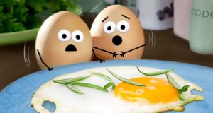 Egg Quotes Shayari Status Images in Hindi for Whatsapp Facebook Instagram Twitter | अंडे (Ande) के ऊपर कोट्स, शायरी और स्टेटस | Sunday Ho Ya Monday Roz Khao Ande