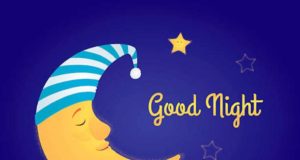 Best Collection of Good Morning & Good Night Shayari, Status, Quotes in Bengali | গুড মর্নিং এবং গুড মর্নিং কোটস, শায়রি এবং স্ট্যাটাস বাংলা ভাষায় | Suvo Ratri Sms in Bengali