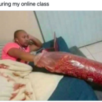 Online Education meme