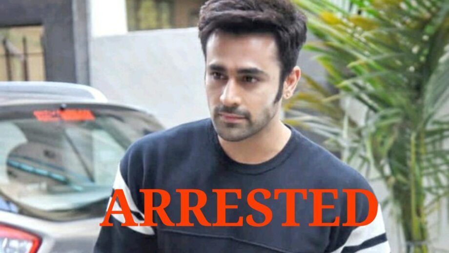 Breaking News in Hindi - Pearl V Puri has been accused of rape and molestation by a minor, and has been arrested by the police under Pearl POCSO | पर्ल पर नाबालिक ने दुष्कर्म और छेड़छाड़ा का आरोप लगाया ?