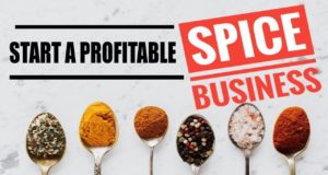 How to Start Spice Business in Hindi, Red Chilli Powder Business Details in Hindi, लास मिर्च पाउडर का कारोबार कैसे शुरू करे, यह बिज़नेस आपको करोड़ों रूपयों कमा कर दे सकता है या नहीं ?