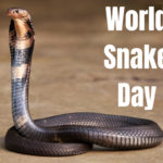 World Snake Day 16th July