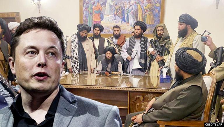 Elon Musk Tweet on Taliban Terrorist News in Hindi: SpaceX Founder Elon Musk Tweet On Taliban Not Wearing Masks | एलन मस्‍क ने तालिबानी आतंकियों का उड़ाया मजाक ?