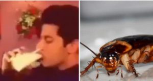 Karanvir Bohra drank cockroach in milk, the video went viral on social media | कॉकरोच को दूध में डालकर पी गए करणवीर बोहरा, सोशल मीडिया पर वायरल वीडियो हुआ वीडियो