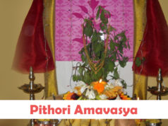 Pithori Amavasya 2021 Date, Time, Mahatva, Pooja Vidhi, Pooja ke Niyam More Details in Hindi | Kushagrahani Amavasya (कुशाग्रहणी) 2021, पिठौरी अमावस्या कब है ?