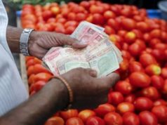 Tomatoes Price Latest News in Hindi | The price reached Rs 160 per kg, why is the price of tomatoes increasing? | 160 रुपये किलो तक पहुंची कीमत, टमाटर की कीमत क्यों बढ़ रही हैं ?