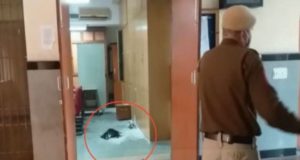 Rohini Court Blast Live News in Hindi | Rohini Court's room number 102 stirred up the blast, 2 injured? | रोहिणी कोर्ट के रूम नंबर 102 में धमाके से हड़कंप मचा, 2 घायल ?