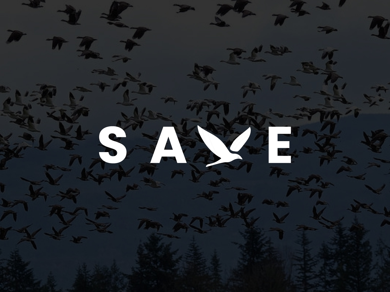 पक्षी बचाओ पर स्लोगन नारे, शायरी, स्टेटस | Save Birds Shayari Quotes Slogan  in Hindi