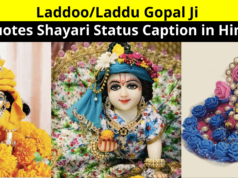 Best Collection of Laddoo/Laddu Gopal Ji Quotes Shayari Status Caption in Hindi for Whatsapp DP FB Story Insta Reels Snapchat Twitter | लड्डू गोपाल शायरी स्टेटस कोट्स कैप्शन