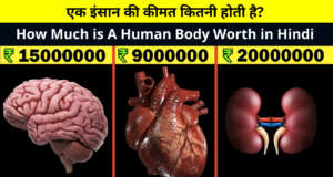 एक इंसान की कीमत कितनी होती है? | How Much is A Human Body Worth in Hindi | The Cost of A Dead Human Body is So Many Crores | Human Body Intrest Facts in Hindi!