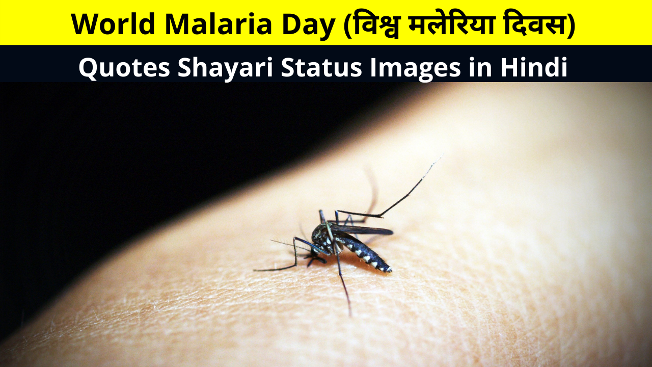 Best Collection of World Malaria Day Quotes Shayari Status Images in Hindi for Whatsapp DP FB Insta Reels Twitter | विश्व मलेरिया दिवस कब और क्यों मनाया जाता है ?
