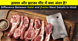 Difference Between Halal and Jhatka Meat Details in Hindi | हलाल और झटका मीट में क्या अंतर है? | What is the Difference Between Halal and Jhatka Meat? | Halal or Jhatka Meat Mein Kya Antar Hai?
