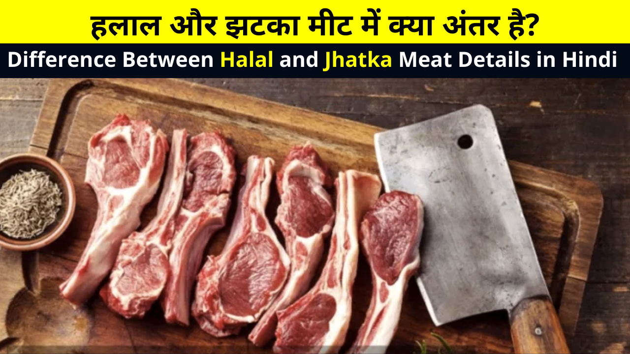 Difference Between Halal and Jhatka Meat Details in Hindi | हलाल और झटका मीट में क्या अंतर है? | What is the Difference Between Halal and Jhatka Meat? | Halal or Jhatka Meat Mein Kya Antar Hai?