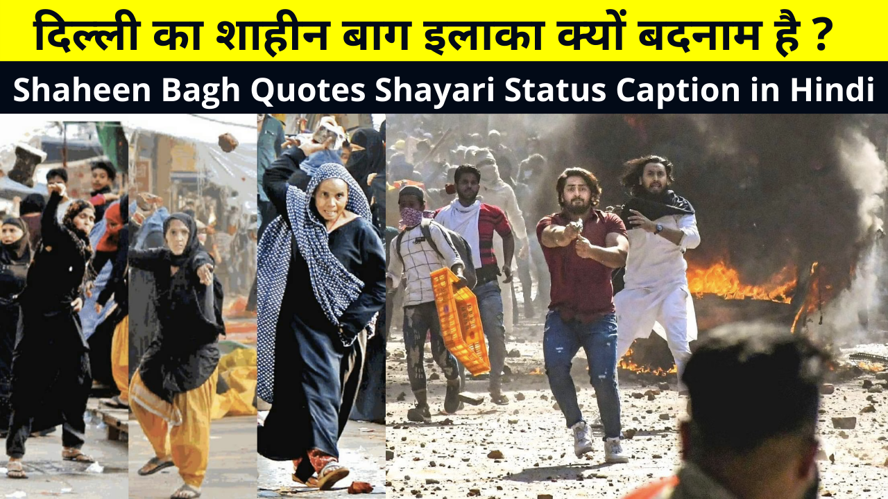 Best Collection of Shaheen Bagh Quotes Shayari Status Caption in Hindi for Whatsapp DP FB Story Insta Reels Twitter | दिल्ली का शाहीन बाग इलाका क्यों बदनाम है ?