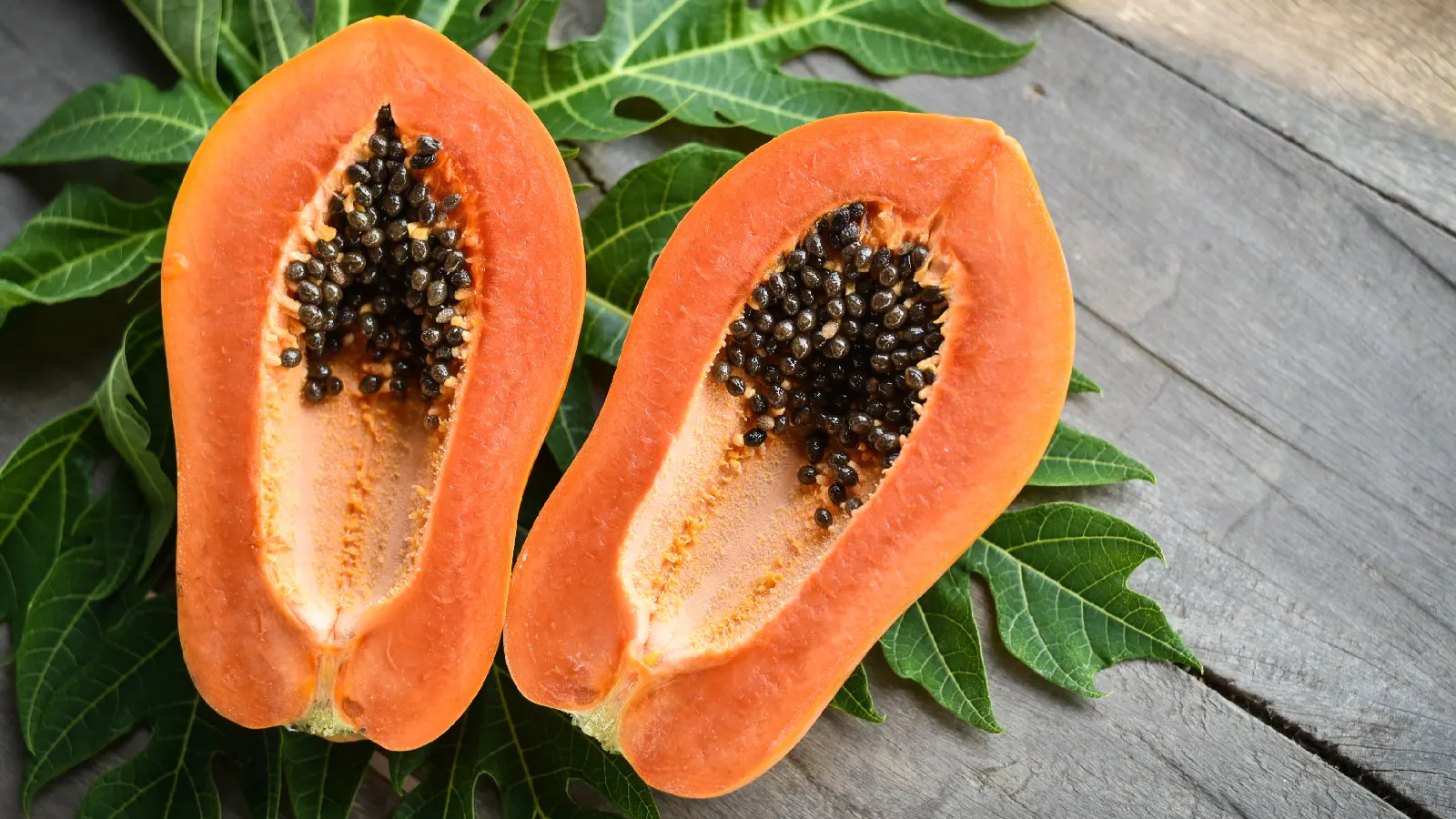 Papaya Side Effects in Hindi, Green Papaya Benefits and Side Effects, Papaya Seeds Side Effects, Papaya On Face Side Effects, Papaya leaf Juice Side Effects, Papaya Side Effects