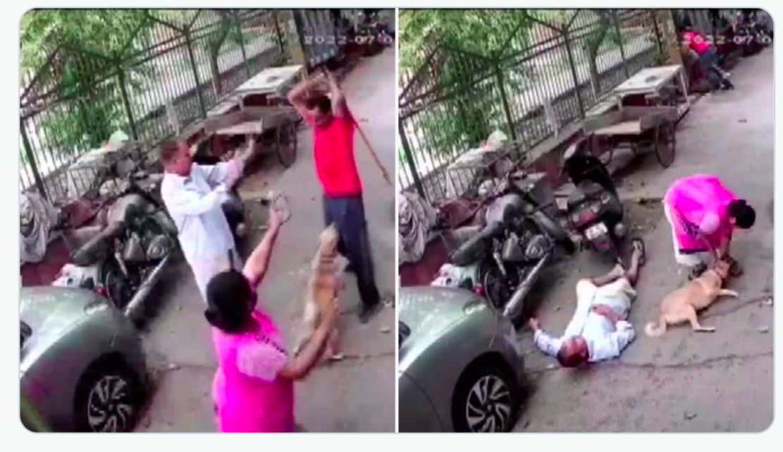 Delhi Paschim Vihar Dog Beat (Attack) Shocking Viral Video Watch | Shocking Viral Video A Man Attacked 3 Persons By Iron Rod After Dog Barked Paschim Vihar Delhi
