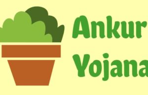 What is Ankur Yojana in Hindi, What is MP Ankur Scheme in Hindi, MP Ankur Yojana Online Registration, Benefits More Details in Hindi, Ankur Yojana Kya Hai? अंकुर योजना क्या है?