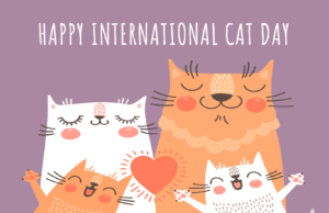 When and Why International Cat Day is Celebrated, know Interesting Facts Related To Cats in Hindi, अंतर्राष्ट्रीय बिल्ली दिवस कब और क्यों मनाया जाता है ,जानिए बिल्ली से जुड़े रोचक तथ्य