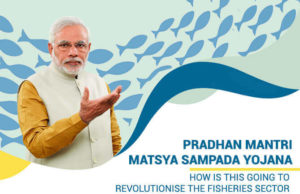 PM Matsya Sampada Yojana Details in Hindi, PM Matsya Sampada Yojana kya Hai, Pradhan Mantri Matsya Sampada Yojana Scheme Information | जानिए क्या है पीएम मत्सय सम्पदा योजना, कैसे करे आवेदन?