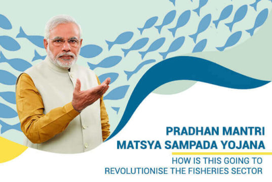 PM Matsya Sampada Yojana Details in Hindi, PM Matsya Sampada Yojana kya Hai, Pradhan Mantri Matsya Sampada Yojana Scheme Information | जानिए क्या है पीएम मत्सय सम्पदा योजना, कैसे करे आवेदन?