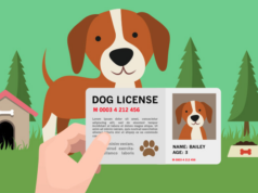Dog License Fee Details in Hindi, License for Dog Lucknow Municipal Corporation, Pet Licensing Fee Details in Hindi, Desi and Exotic Dog Breeds License Fee Information