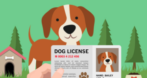 Dog License Fee Details in Hindi, License for Dog Lucknow Municipal Corporation, Pet Licensing Fee Details in Hindi, Desi and Exotic Dog Breeds License Fee Information