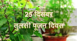 When and Why Tulsi Pujan Diwas is Celebrated, importance and history of Tulsi plant etc. information in Hindi | Tulsi Pujan Diwas Kab or Kyu Manaya Jata Hai | तुलसी पूजन दिवस कब और क्यों मनाया जाता है?
