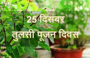 When and Why Tulsi Pujan Diwas is Celebrated, importance and history of Tulsi plant etc. information in Hindi | Tulsi Pujan Diwas Kab or Kyu Manaya Jata Hai | तुलसी पूजन दिवस कब और क्यों मनाया जाता है?