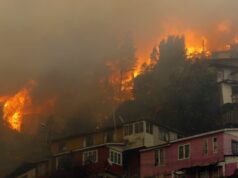 Fierce fire in The Forests of South American Country Chile, 13 People Died, and Hundreds of Families Homeless News | चिली के जंगलों में जानबूझकर लगाई गई आग? | Fierce Forest Fire in Chile