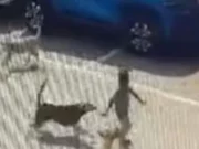 Breaking News in Hindi Hyderabad Dog Attack CCTV Footage Full Video Watch | 4-Year-Old Child Bitten To Death By Street Dogs in Hyderabad Dog Bite Child | 4 साल के बच्चे को कुत्तों के झुंड ने नोंच-नोंच कर मार डाला