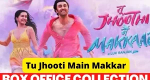 Tu Jhoothi Main Makkaar Box Office Collection & Kamai Day 3, Tu Jhoothi Main Makkaar Movie 3rd Day Box Office Collection, Kamai, Advance Business, Earning Report, Star Cast, Budget, Hit or Flop, Screen Count