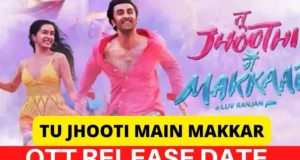 Tu Jhoothi Main Makkaar OTT Release Date and Streaming Platform More Details | OTT Release Date of Tu Jhoothi Main Makkaar Movie | Netflix और Sony LIV दोनों में किसी ओटीटी प्लेटफॉर्म पर रिलीज़ होगी 'तू झूठी मैं मक्कार'