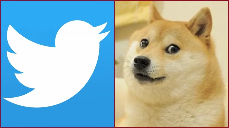 Twitter logo blue bird now replaced with a doge meme and elon musk is the reason | Dog in Twitter Logo: ट्विटर का लोगो होगा चेंज, चिड़िया कि जगह लेगा कुत्ता ?