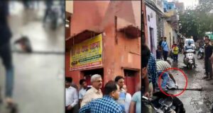 Watch CCTV Footage Video Buffalo Head Found Near Temple in Welcome Area of Delhi Breaking News in Hindi | Northeast Delhi Welcome Crime News | 2 मुस्लिमों ने वेलकम इलाके में मंदिर के सामने भैंस का सिर फेका