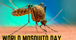 World Mosquito Day Kab or Kyu Manaya Jata Hai | When and Why is World Mosquito Day Celebrated Details in Hindi | वर्ल्ड मॉस्किटो डे (विश्व मच्छर दिवस) कब और क्यों मनाया जाता है?