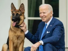 US President Biden's Dog Commander Bites News | US President Joe Biden's pet dog Commander bites the Secret Service agent | 4 महीने में इतनी बार हमला कर चुका है ‘कमांडर’