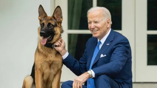 US President Biden's Dog Commander Bites News | US President Joe Biden's pet dog Commander bites the Secret Service agent | 4 महीने में इतनी बार हमला कर चुका है ‘कमांडर’