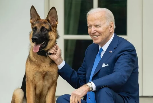 US President Biden's Dog Commander Bites News | US President Joe Biden's pet dog Commander bites the Secret Service agent | 4 महीने में इतनी बार हमला कर चुका है ‘कमांडर’