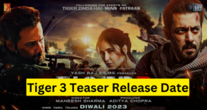 Salman Khan's Upcoming Movie Tiger 3 Teaser Release Date, Story, Star Cast More Details in Hindi | इस दिन रिलीज़ होगा 'टाइगर-3' का टीज़र रिलीज़, सलमान खान जारी करेंगे 'टाइगर का मैसेज'